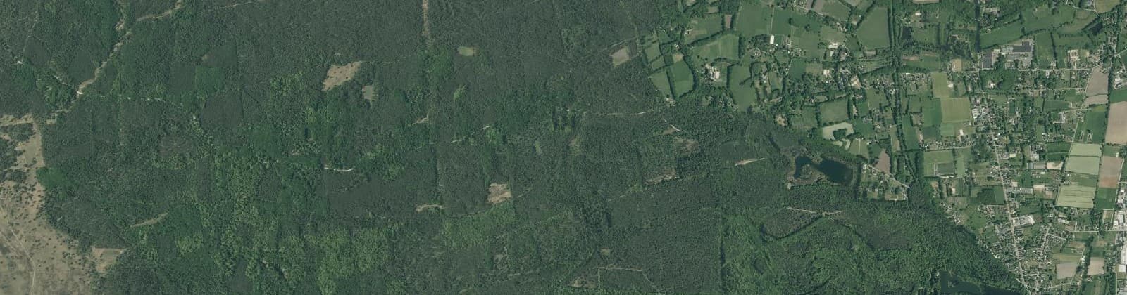 Luchtfoto van Bosgebied Wiesel