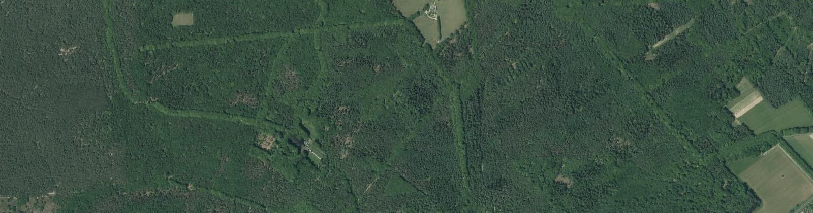 Luchtfoto van Verspreide huizen bosgebied De Steeg