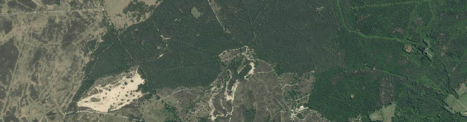 Luchtfoto van Verspreide huizen bosgebied Rheden