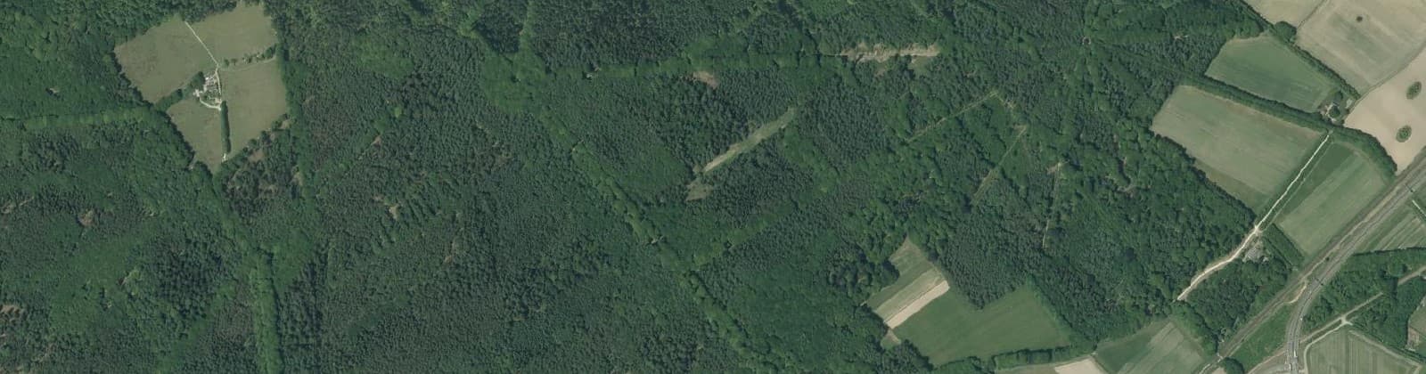 Luchtfoto van Verspreide huizen bosgebied Ellecom