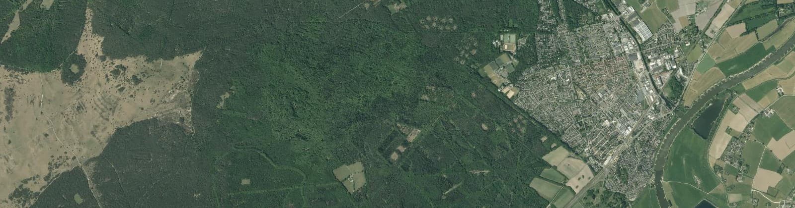 Luchtfoto van Verspreide huizen bosgebied Dieren