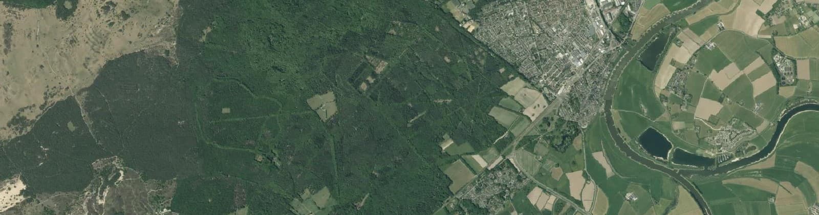 Luchtfoto van Wijk 00 Dieren